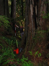 Enlarge photo 108