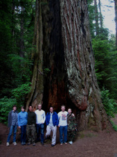 Enlarge photo 111