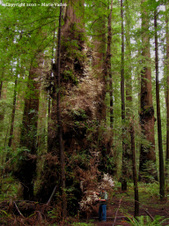 Enlarge photo 43