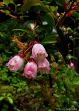 Enlarge photo 46