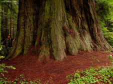 Enlarge photo 47