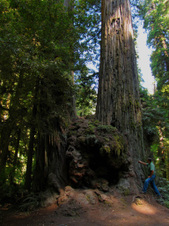 Enlarge photo 82