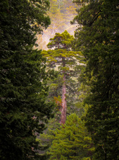 Enlarge photo 129