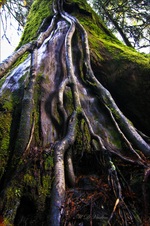 Enlarge photo 32
