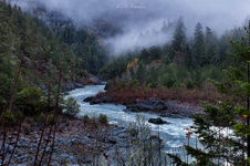 Enlarge photo 173
