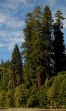 Enlarge photo 91