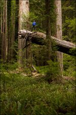 Enlarge photo 139
