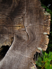 Enlarge photo 92