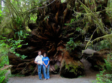 Enlarge photo 116