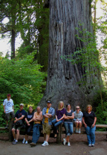 Enlarge photo 119
