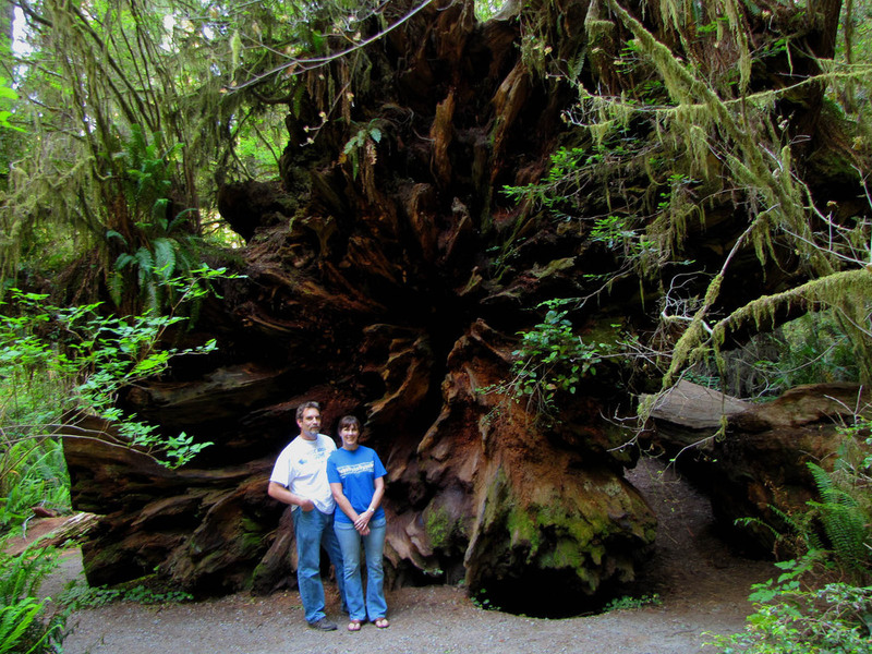 redwoods_couple.jpg