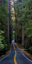Enlarge photo 192