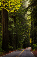 Enlarge photo 34
