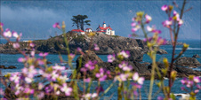 Enlarge photo 140