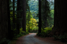Enlarge photo 193