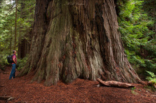 Enlarge photo 151