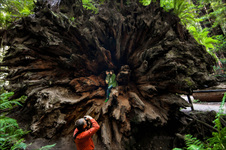 Enlarge photo 116