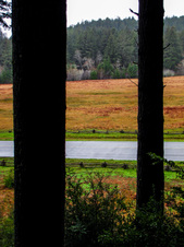 Enlarge photo 58