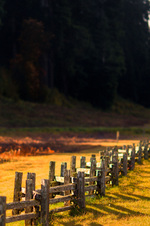 Enlarge photo 52
