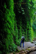 Enlarge photo 100