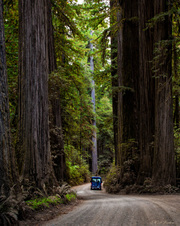 Enlarge photo 105