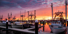 Enlarge photo 120