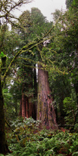 Enlarge photo 154