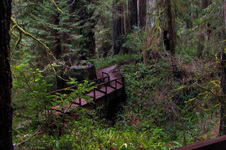 Enlarge photo 187