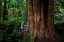 Enlarge photo 128