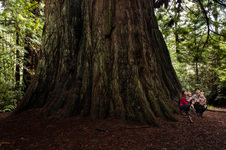 Enlarge photo 177
