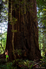 Enlarge photo 127