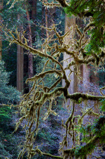 Enlarge photo 25