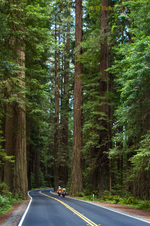 Enlarge photo 84