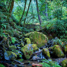Enlarge photo 106