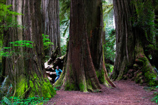 Enlarge photo 130