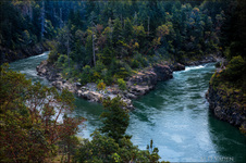 Enlarge photo 60