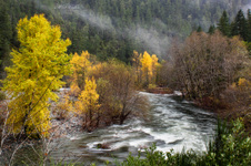 Enlarge photo 167