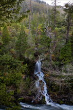 Enlarge photo 166