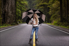 Enlarge photo 133