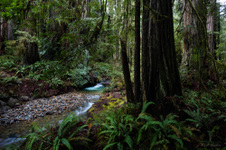 Enlarge photo 175