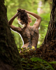 Enlarge photo 188