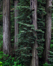 Enlarge photo 134
