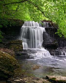 Enlarge photo 109