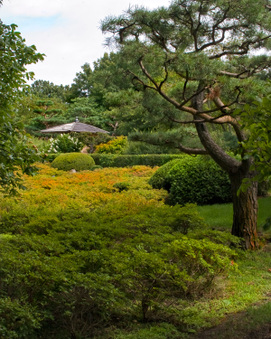 Enlarge photo 74