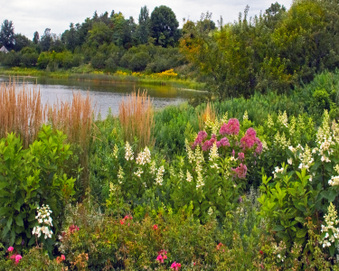 Enlarge photo 71
