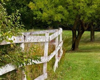 Enlarge photo 59