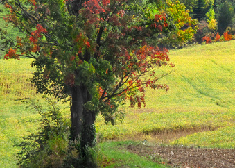 Enlarge photo 60