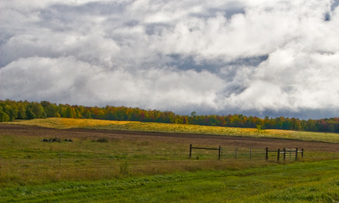 Enlarge photo 33