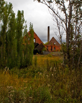 Enlarge photo 161