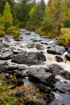 Enlarge photo 113